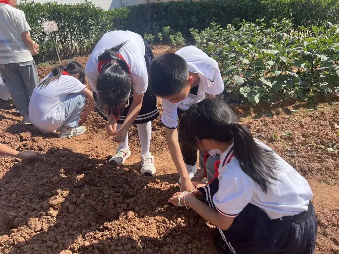 【儿童友好系列活动】奕棋镇中心小学:深耕劳动教育 赋能学生成长(一百零七) 第4张 【儿童友好系列活动】奕棋镇中心小学:深耕劳动教育 赋能学生成长(一百零七) 第4张