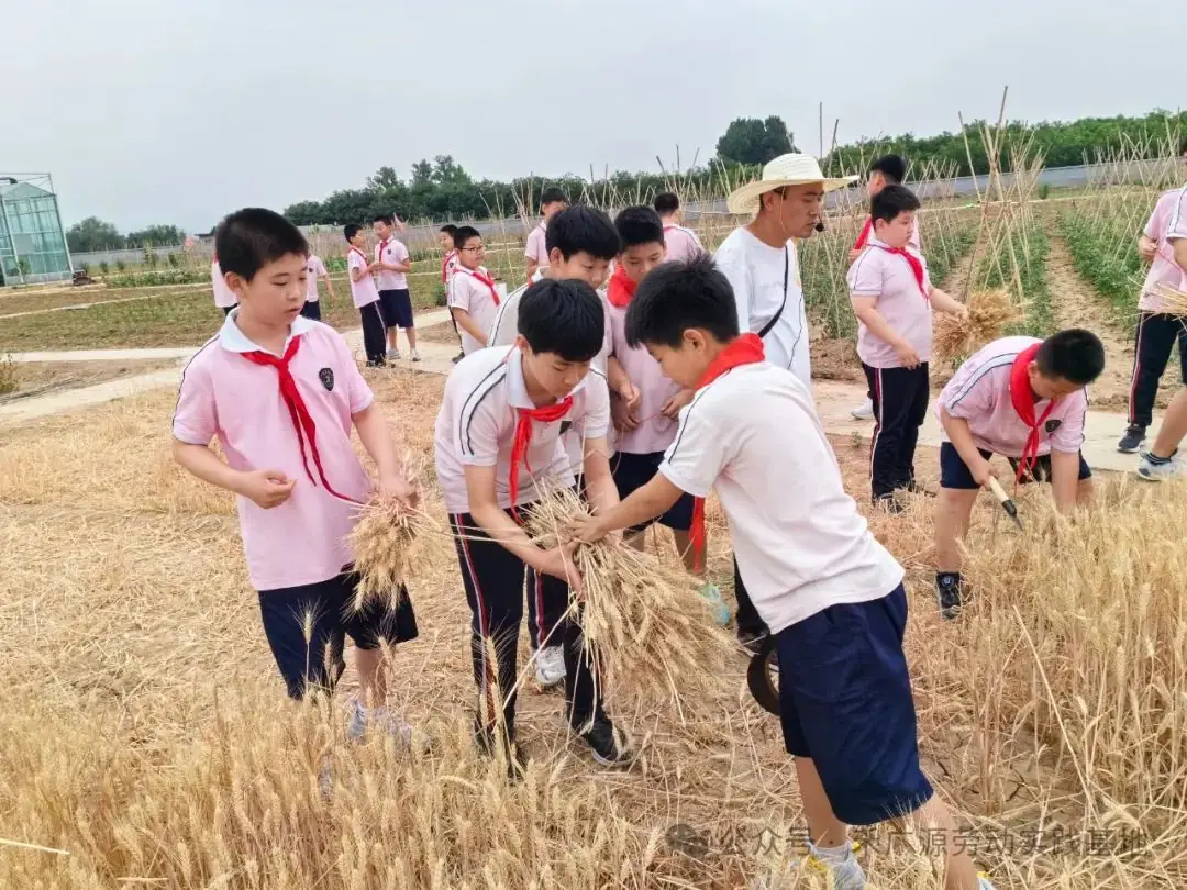 “芒”有所获,“种”有所得——科奥小学五年级劳动实践活动 第15张