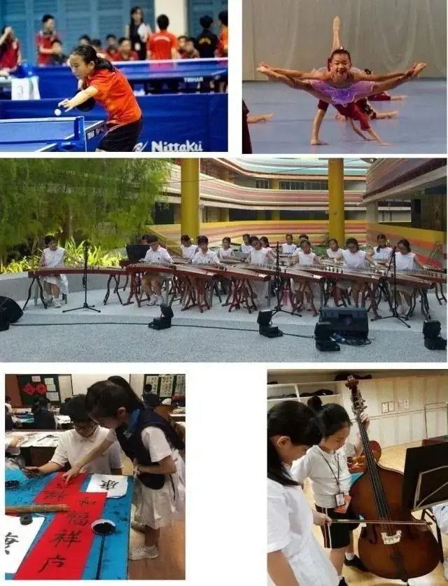 新加坡政府名校之南洋小学 第19张 新加坡政府名校之南洋小学 第19张