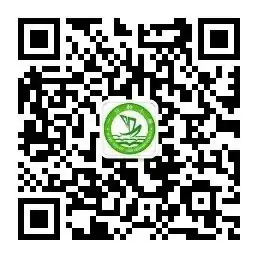 一只船小学在甘肃省青少年科技体育航空航天模型无人机教育竞赛中喜获佳绩 第15张