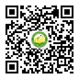 陈庄小学六一节目精彩呈现 第6张 陈庄小学六一节目精彩呈现 第6张