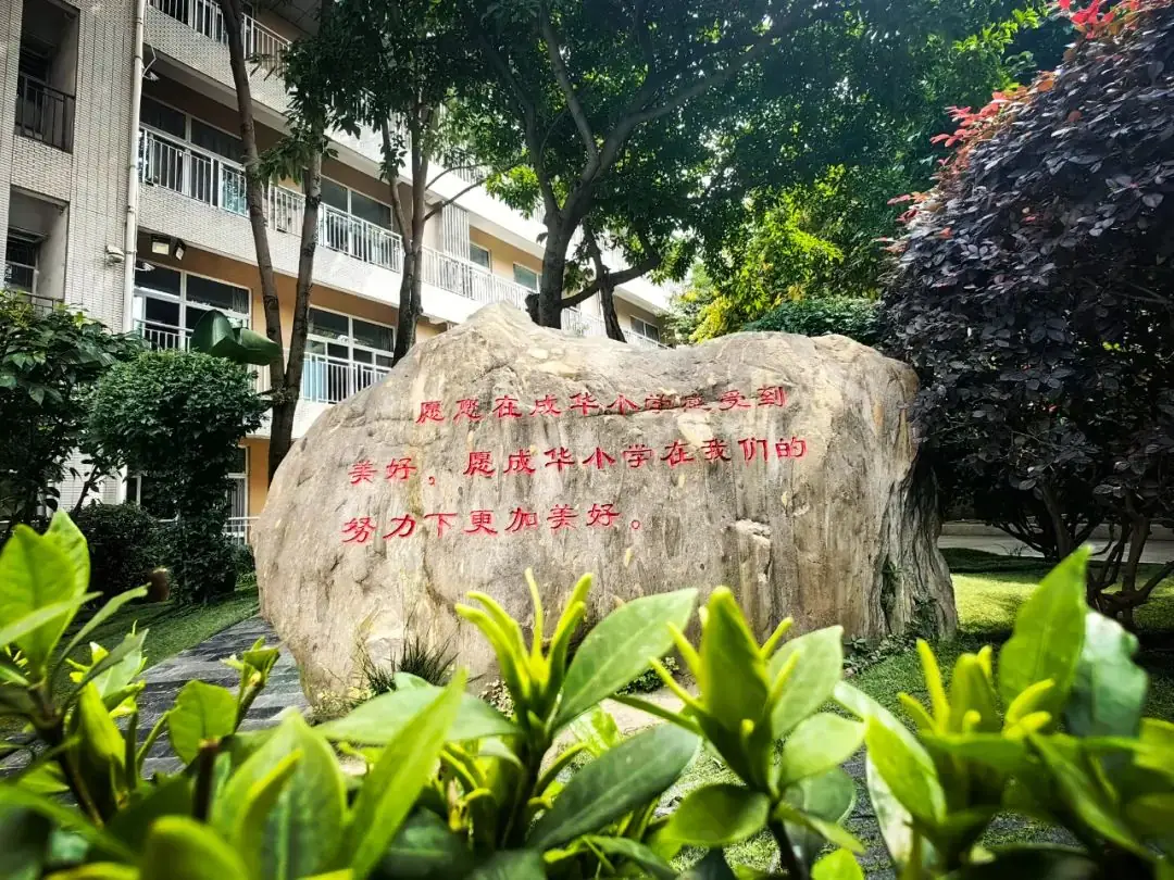 早读丨成都市成华小学校 六年级九班 第19张
