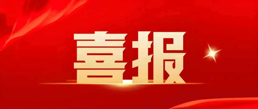 【喜报】凤鸣小学篮球队在2024年市区小学生篮球联赛中取得佳绩! 第2张