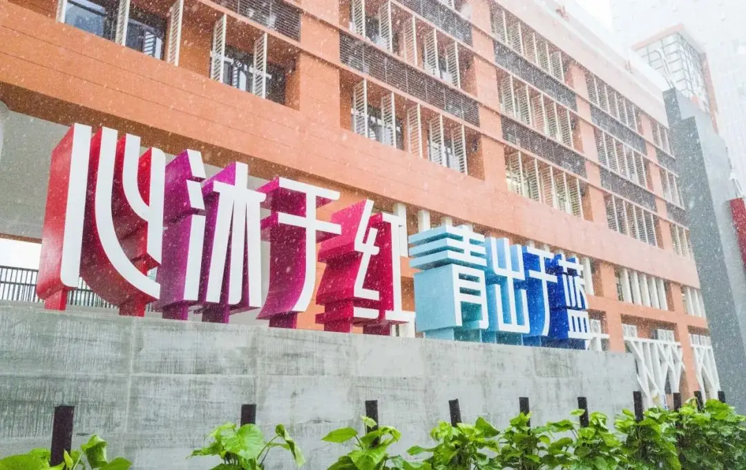 【优质均衡·招生季】 | 宝安小学(集团)红树林外国语小学2024年秋季义务教育招生指引 第2张 【优质均衡·招生季】 | 宝安小学(集团)红树林外国语小学2024年秋季义务教育招生指引 第2张