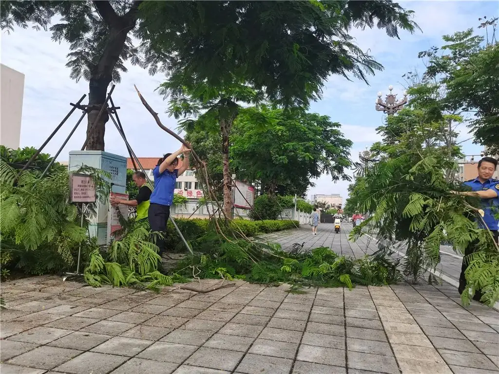 高考倒计时!城管护校员上岗,东莞城管人全力护航 第32张 高考倒计时!城管护校员上岗,东莞城管人全力护航 第32张