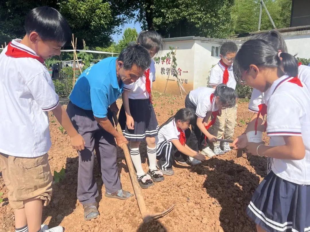 【儿童友好系列活动】奕棋镇中心小学:深耕劳动教育 赋能学生成长(一百零七) 第2张 【儿童友好系列活动】奕棋镇中心小学:深耕劳动教育 赋能学生成长(一百零七) 第2张