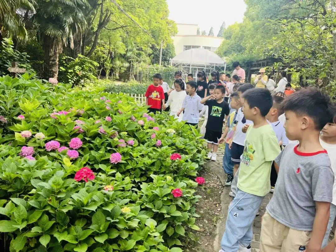 【小幼衔接】你好,小学——洪庙小学小幼衔接之“走进小学”活动 第12张 【小幼衔接】你好,小学——洪庙小学小幼衔接之“走进小学”活动 第12张