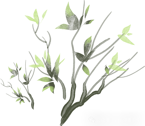 铲草护绿,清道助中考 第5张 铲草护绿,清道助中考 第5张
