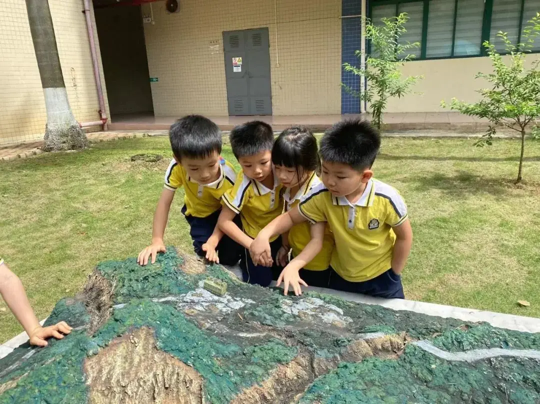 趣探小学,幼见成长 第66张 趣探小学,幼见成长 第66张