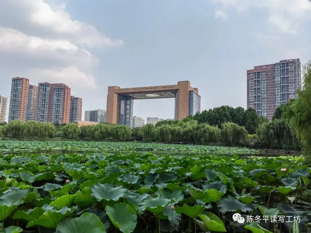 中考•作文︱2024年深圳市中考作文备考资料 第1张 中考•作文︱2024年深圳市中考作文备考资料 第1张