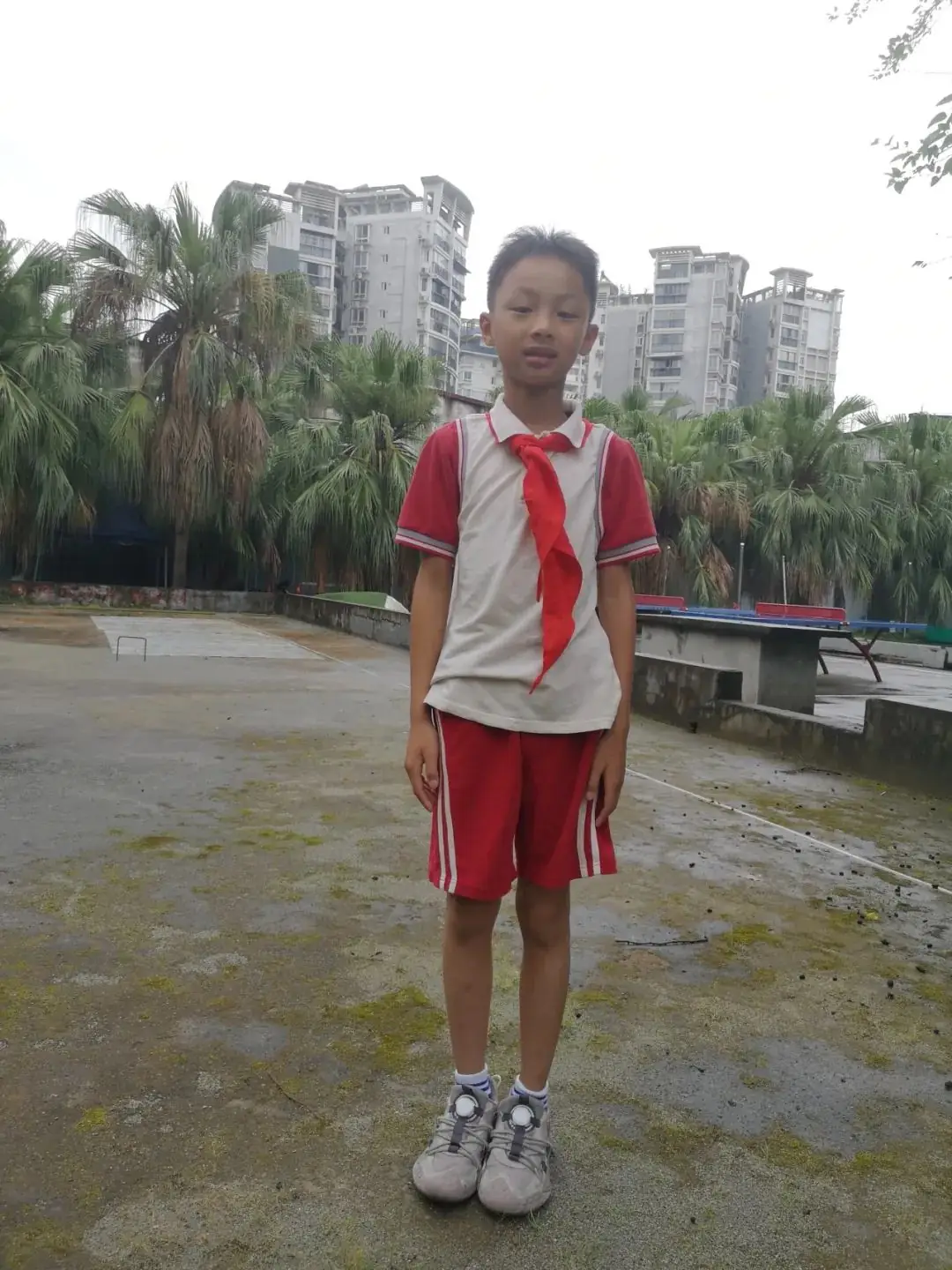 【中隐小学·德育活动】桂林市中隐小学中隐好少年表彰之“中隐小健将” 第14张 【中隐小学·德育活动】桂林市中隐小学中隐好少年表彰之“中隐小健将” 第14张