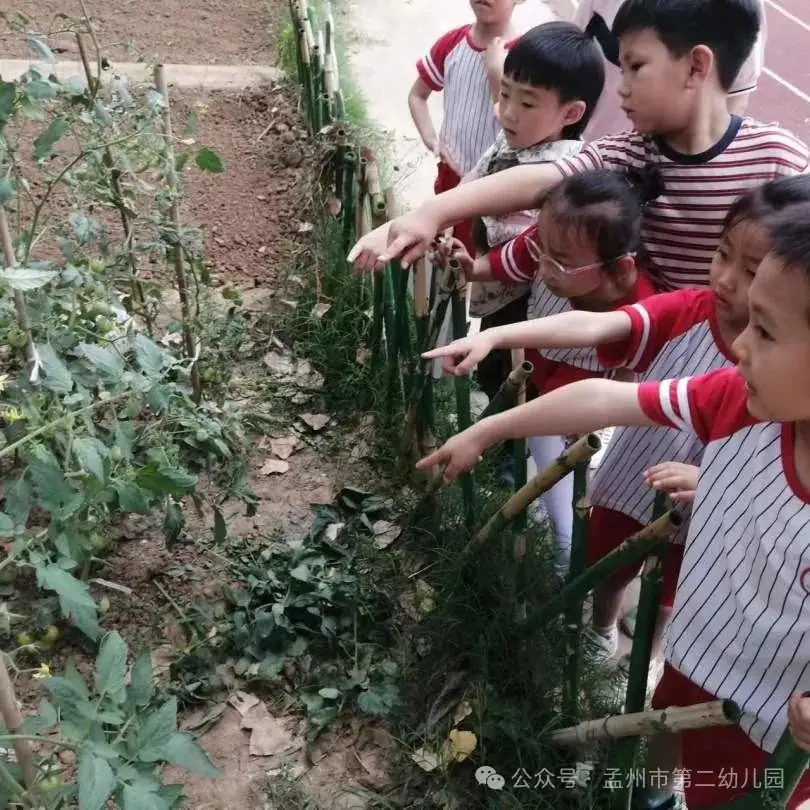 亲爱的小学,我来啦!——孟州市第二幼儿园参观小学活动 第70张 亲爱的小学,我来啦!——孟州市第二幼儿园参观小学活动 第70张
