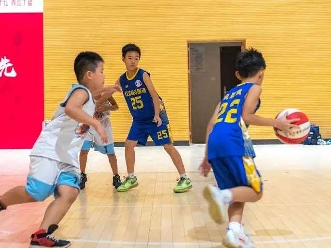 【优质均衡·招生季】 | 宝安小学(集团)红树林外国语小学2024年秋季义务教育招生指引 第22张 【优质均衡·招生季】 | 宝安小学(集团)红树林外国语小学2024年秋季义务教育招生指引 第22张