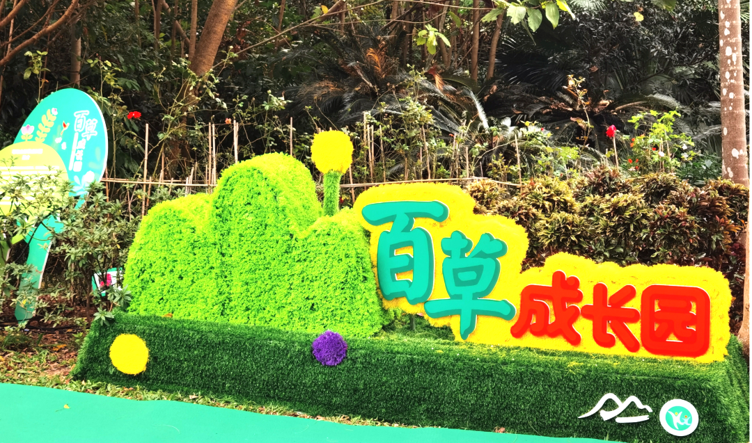 华新小学欢迎你!福田区华新小学2024年小一招生开始啦! 第23张 华新小学欢迎你!福田区华新小学2024年小一招生开始啦! 第23张