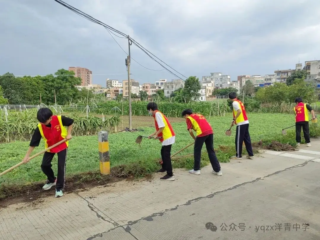 铲草护绿,清道助中考 第13张 铲草护绿,清道助中考 第13张