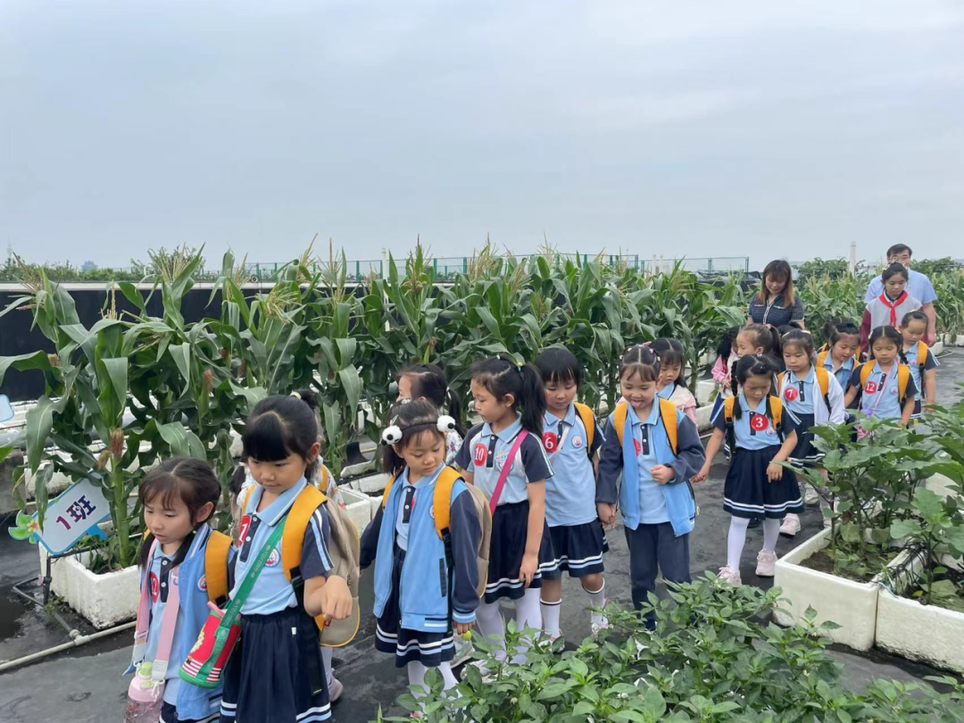 【园级动态】初探小学 期望成长——红岭幼儿园大班组参观小学活动纪实 第43张 【园级动态】初探小学 期望成长——红岭幼儿园大班组参观小学活动纪实 第43张