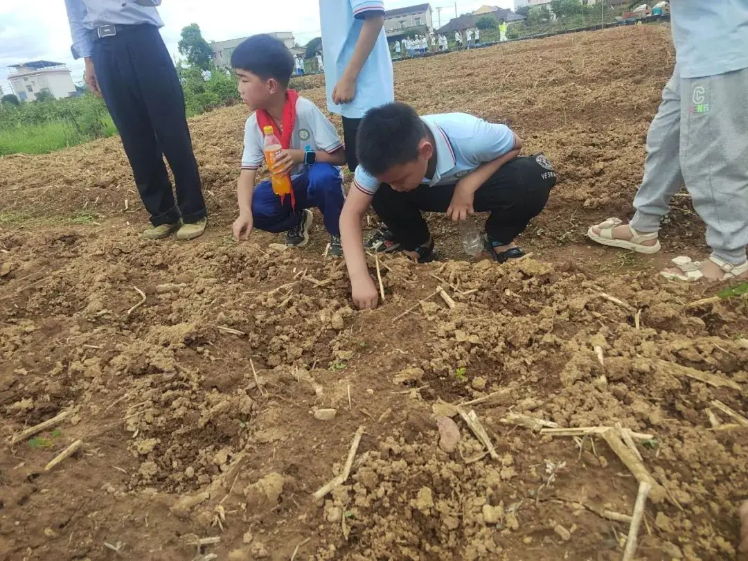 花园小学“国歌嘹亮 耕读童年”——庆六一•红领巾爱祖国研学实践活动 第81张 花园小学“国歌嘹亮 耕读童年”——庆六一•红领巾爱祖国研学实践活动 第81张