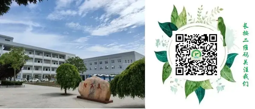 领航赋能同交流 学校联动共提升|华清小学教育集团送教活动在新市中心小学举行 第14张