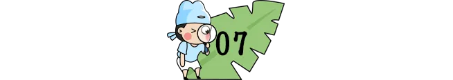 小学作文最令人满意的10种开头,尤其第1种,高分学生都在用! 第7张 小学作文最令人满意的10种开头,尤其第1种,高分学生都在用! 第7张