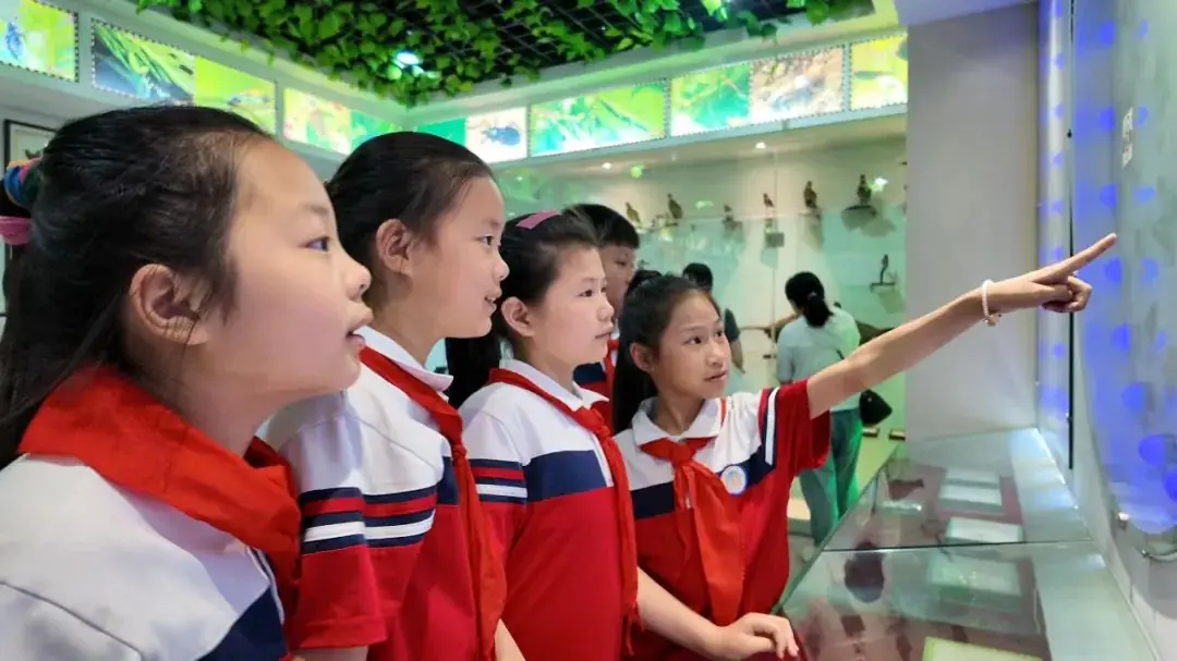 环境日科普之旅:黄冈市考棚小学学生走进生物科普馆 第48张 环境日科普之旅:黄冈市考棚小学学生走进生物科普馆 第48张