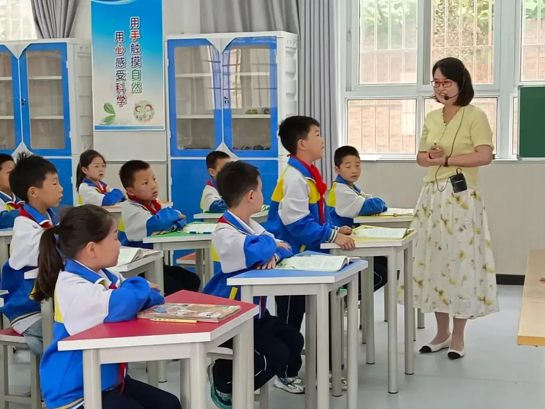领航赋能同交流 学校联动共提升|华清小学教育集团送教活动在新市中心小学举行 第8张