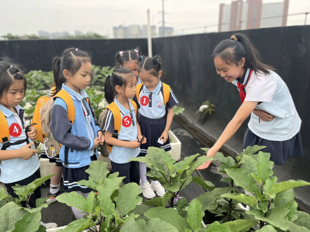 【园级动态】初探小学 期望成长——红岭幼儿园大班组参观小学活动纪实 第2张 【园级动态】初探小学 期望成长——红岭幼儿园大班组参观小学活动纪实 第2张