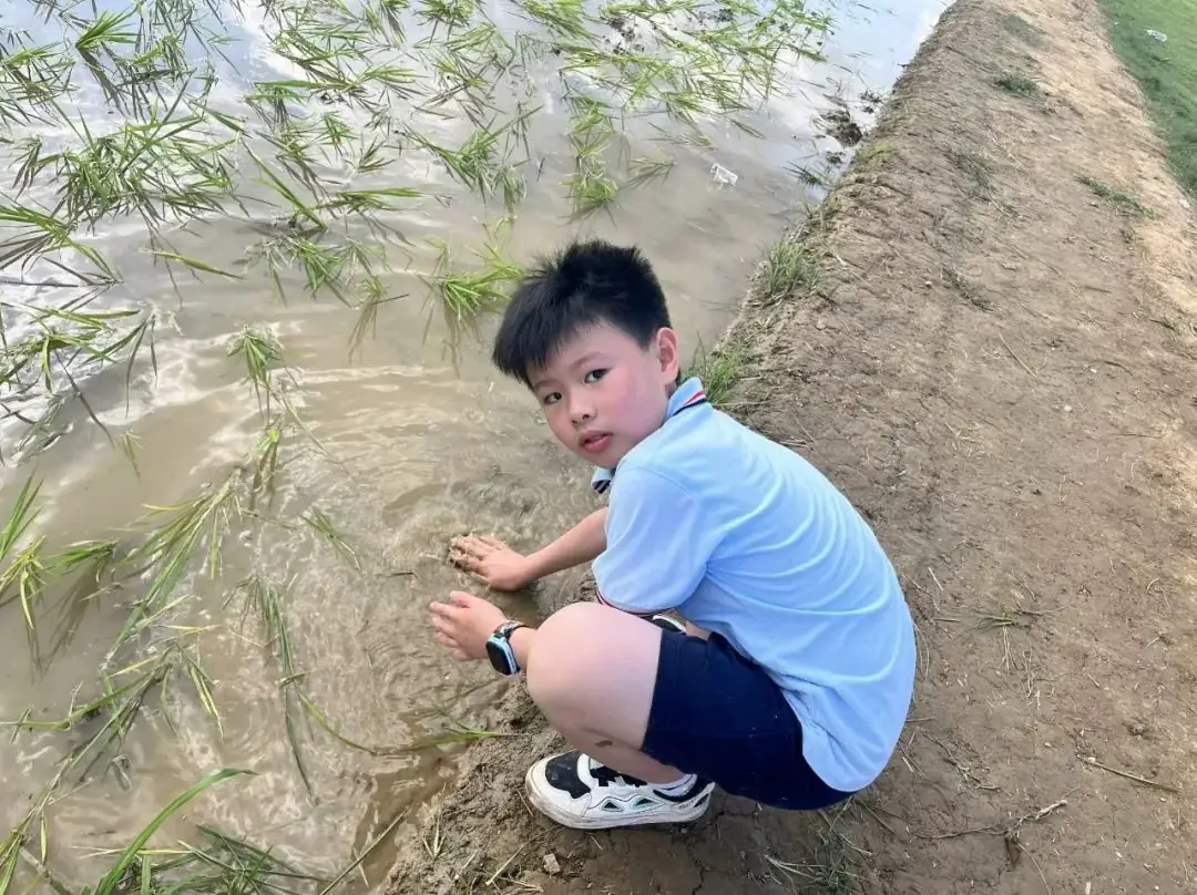 花园小学“国歌嘹亮 耕读童年”——庆六一•红领巾爱祖国研学实践活动 第49张 花园小学“国歌嘹亮 耕读童年”——庆六一•红领巾爱祖国研学实践活动 第49张