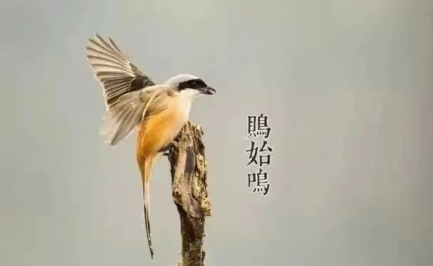 【金安小学】芒种——愿你“芒”有所获, “种”有所得 第10张 【金安小学】芒种——愿你“芒”有所获, “种”有所得 第10张