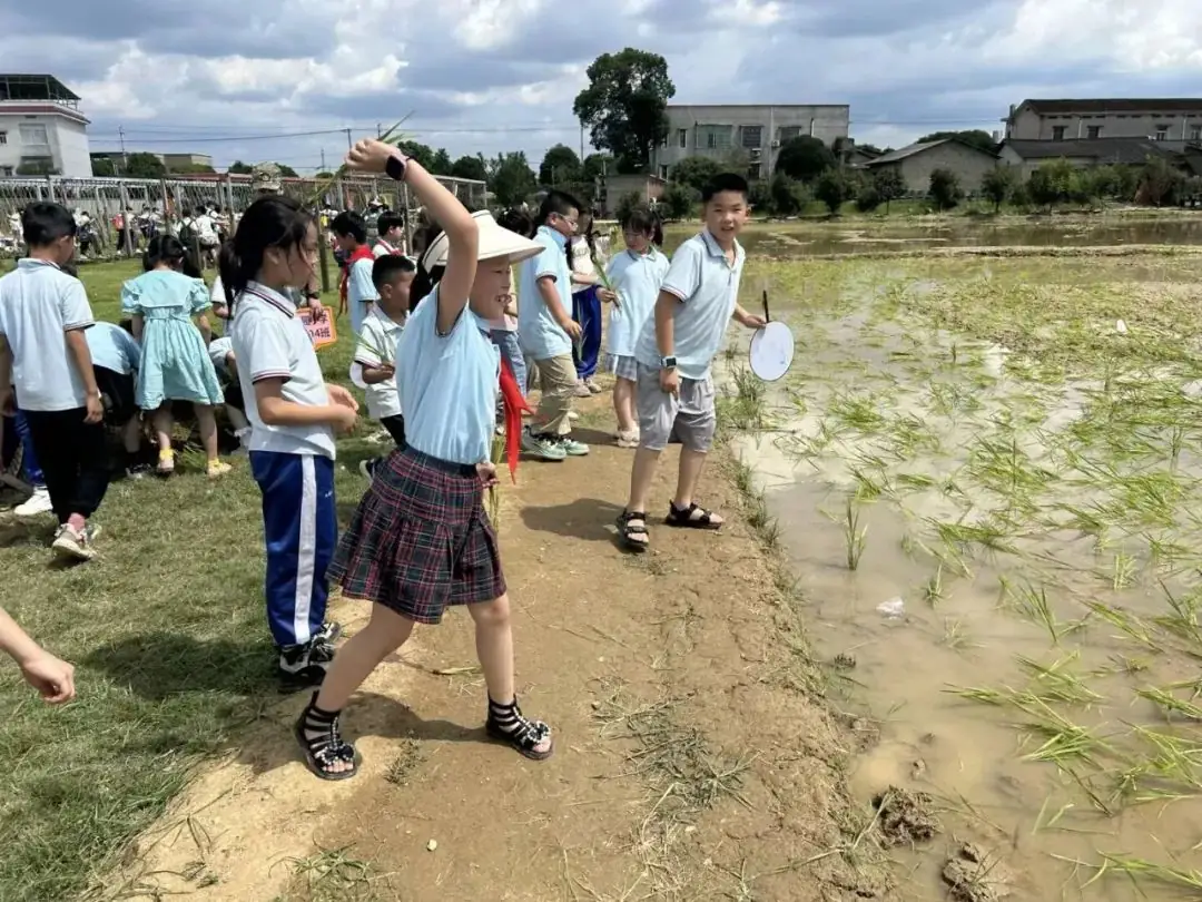 花园小学“国歌嘹亮 耕读童年”——庆六一•红领巾爱祖国研学实践活动 第53张 花园小学“国歌嘹亮 耕读童年”——庆六一•红领巾爱祖国研学实践活动 第53张