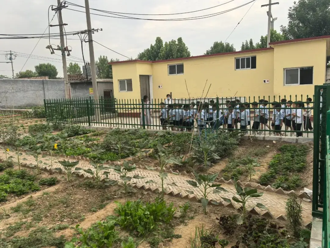 【初探小学 礼遇成长】何楼办事处中心幼儿园大班小朋友参观小学活动 第35张 【初探小学 礼遇成长】何楼办事处中心幼儿园大班小朋友参观小学活动 第35张