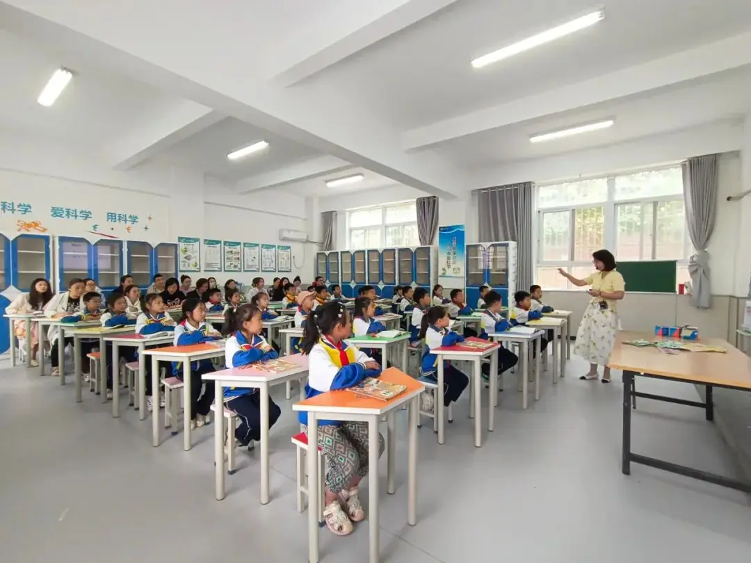 领航赋能同交流 学校联动共提升|华清小学教育集团送教活动在新市中心小学举行 第7张