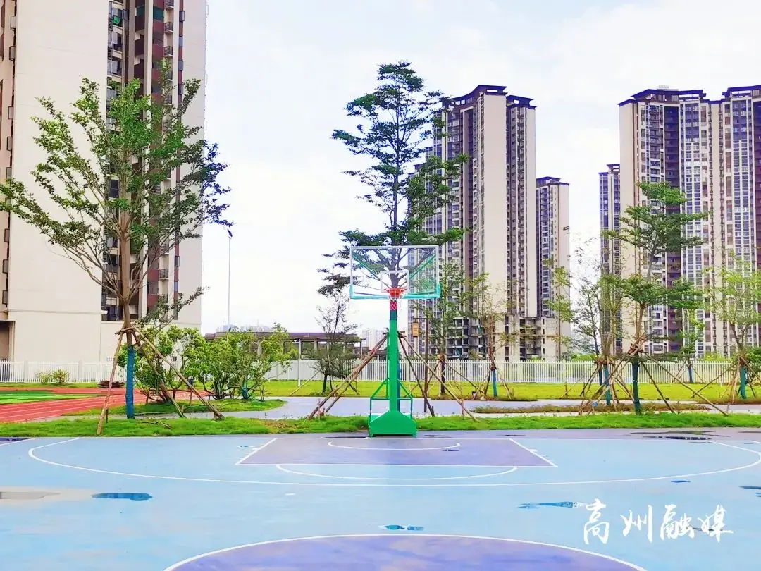 高州城区又一公立小学竣工,即将投入使用! 第5张 高州城区又一公立小学竣工,即将投入使用! 第5张