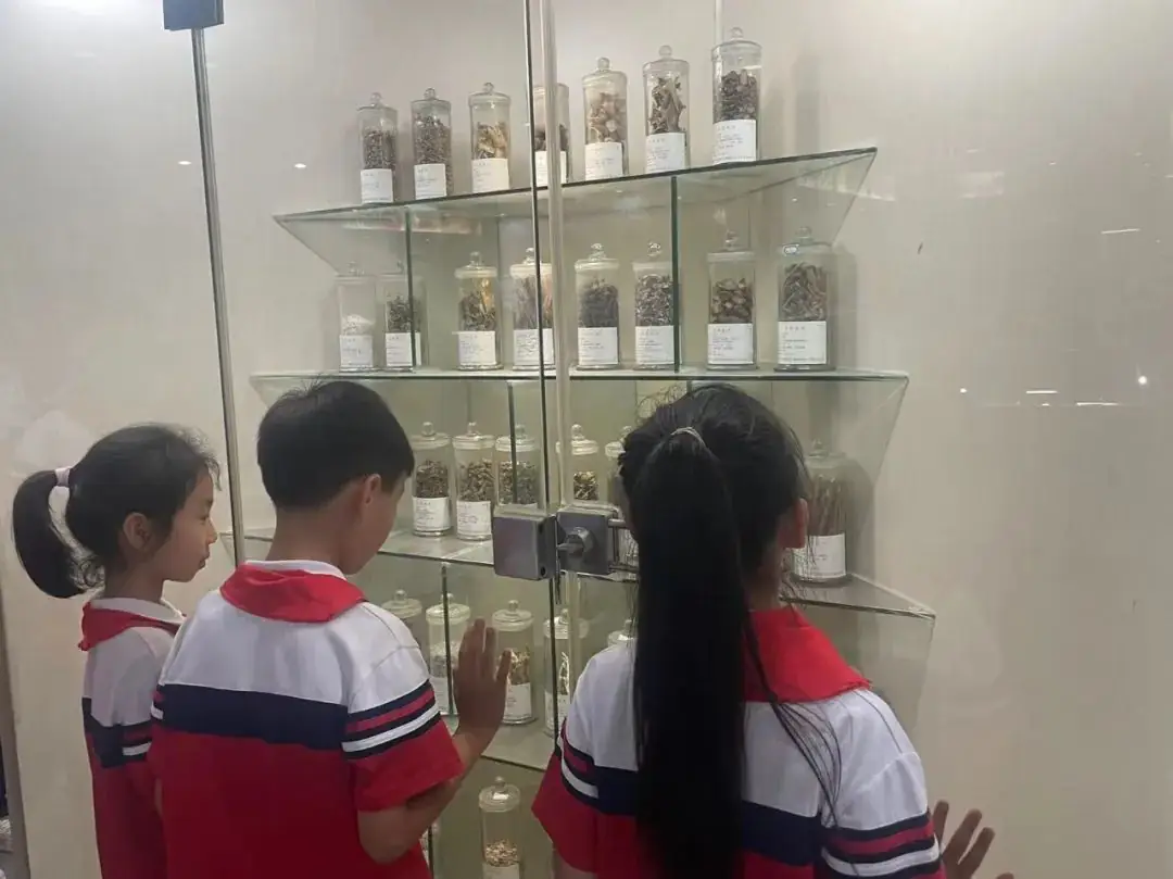 环境日科普之旅:黄冈市考棚小学学生走进生物科普馆 第6张 环境日科普之旅:黄冈市考棚小学学生走进生物科普馆 第6张