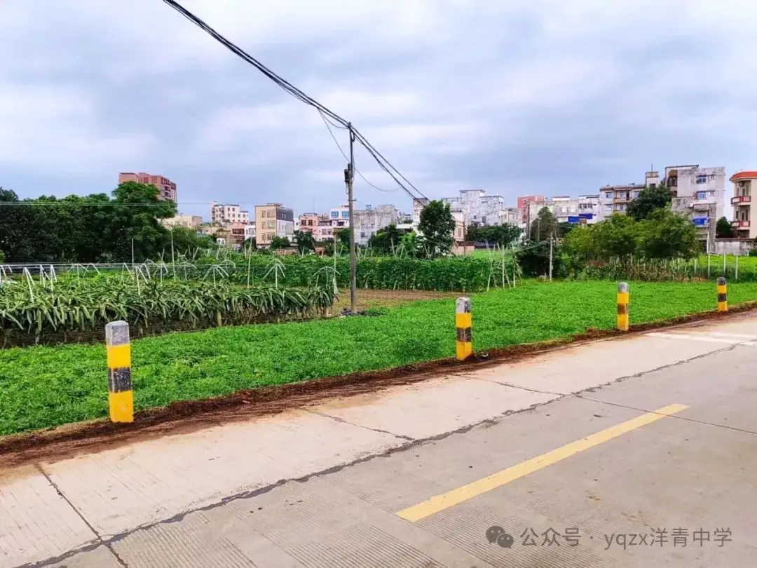 铲草护绿,清道助中考 第24张 铲草护绿,清道助中考 第24张