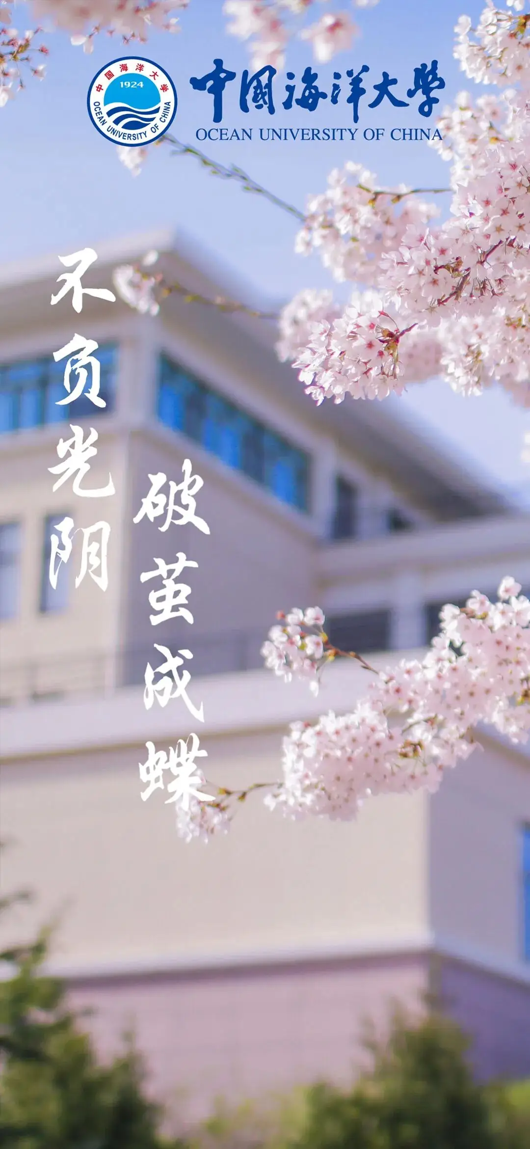 高考临近,这份祝福送给全力以赴的你!(第三期) 第16张 高考临近,这份祝福送给全力以赴的你!(第三期) 第16张