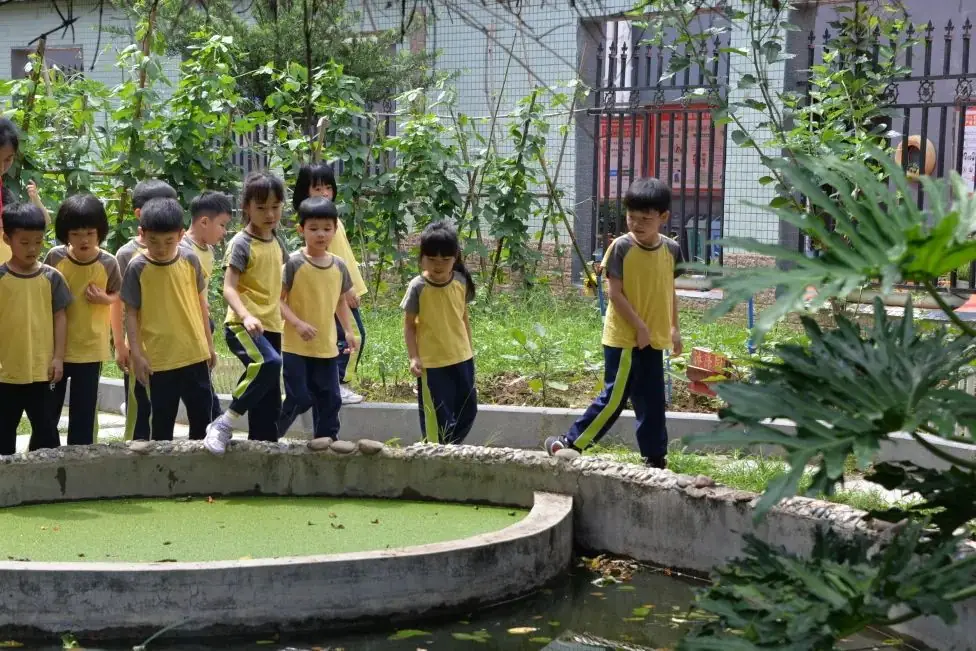 趣探小学,幼见成长 第71张 趣探小学,幼见成长 第71张