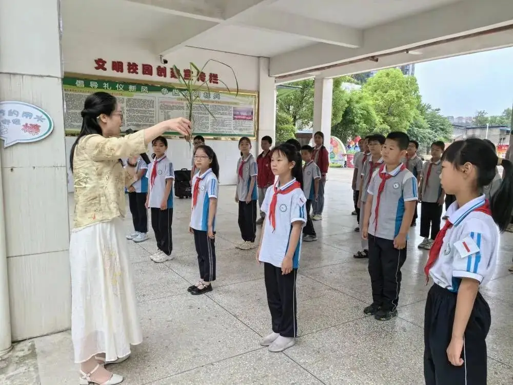 十堰市茅箭区火车站小学开展插秧苗劳动体验活动 第1张 十堰市茅箭区火车站小学开展插秧苗劳动体验活动 第1张