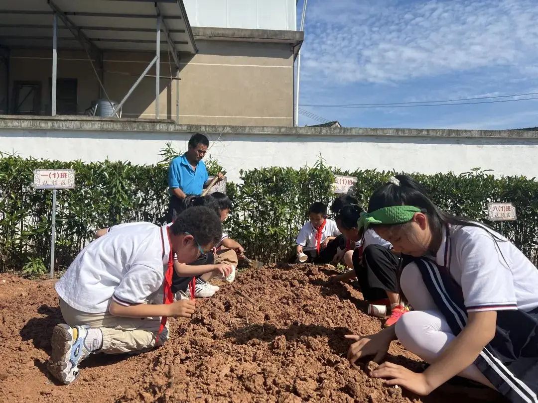 【儿童友好系列活动】奕棋镇中心小学:深耕劳动教育 赋能学生成长(一百零七) 第6张 【儿童友好系列活动】奕棋镇中心小学:深耕劳动教育 赋能学生成长(一百零七) 第6张