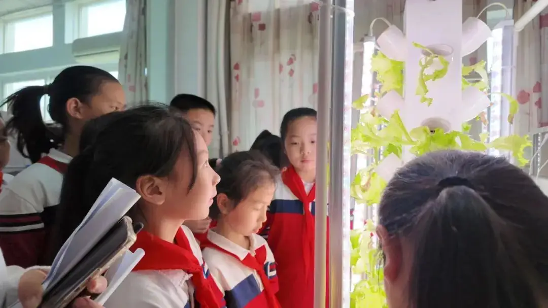 环境日科普之旅:黄冈市考棚小学学生走进生物科普馆 第18张 环境日科普之旅:黄冈市考棚小学学生走进生物科普馆 第18张
