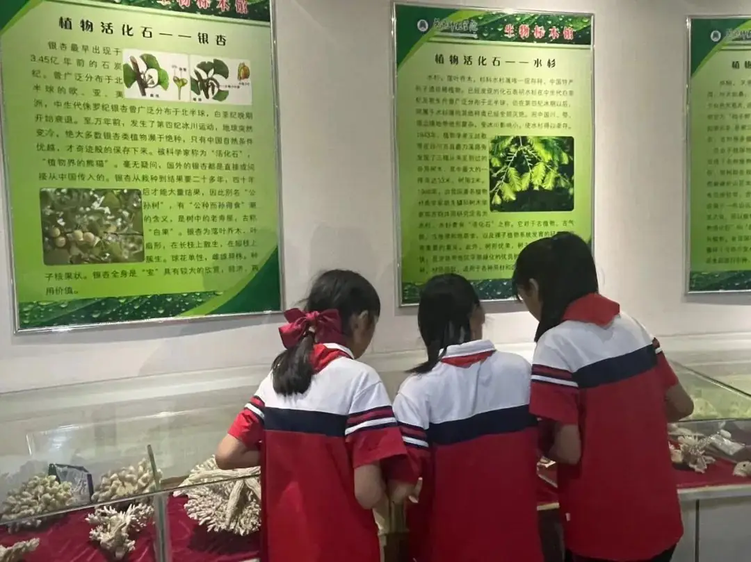 环境日科普之旅:黄冈市考棚小学学生走进生物科普馆 第24张 环境日科普之旅:黄冈市考棚小学学生走进生物科普馆 第24张