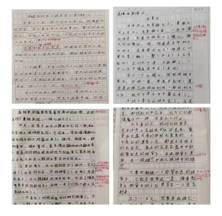 狄公小学班班共读系列之书香满园“阅”读“悦”美 ——狄公小学四年级班班共读 第29张 狄公小学班班共读系列之书香满园“阅”读“悦”美 ——狄公小学四年级班班共读 第29张