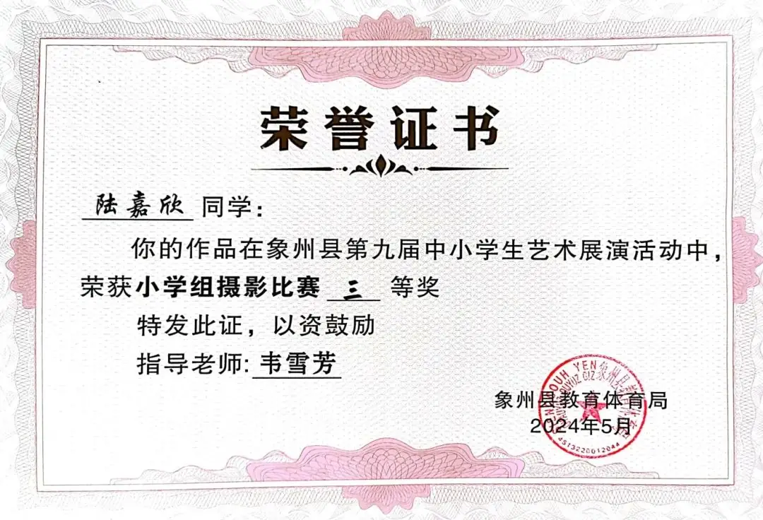快看,象州县花山小学又双叒叕获奖了! 第13张 快看,象州县花山小学又双叒叕获奖了! 第13张