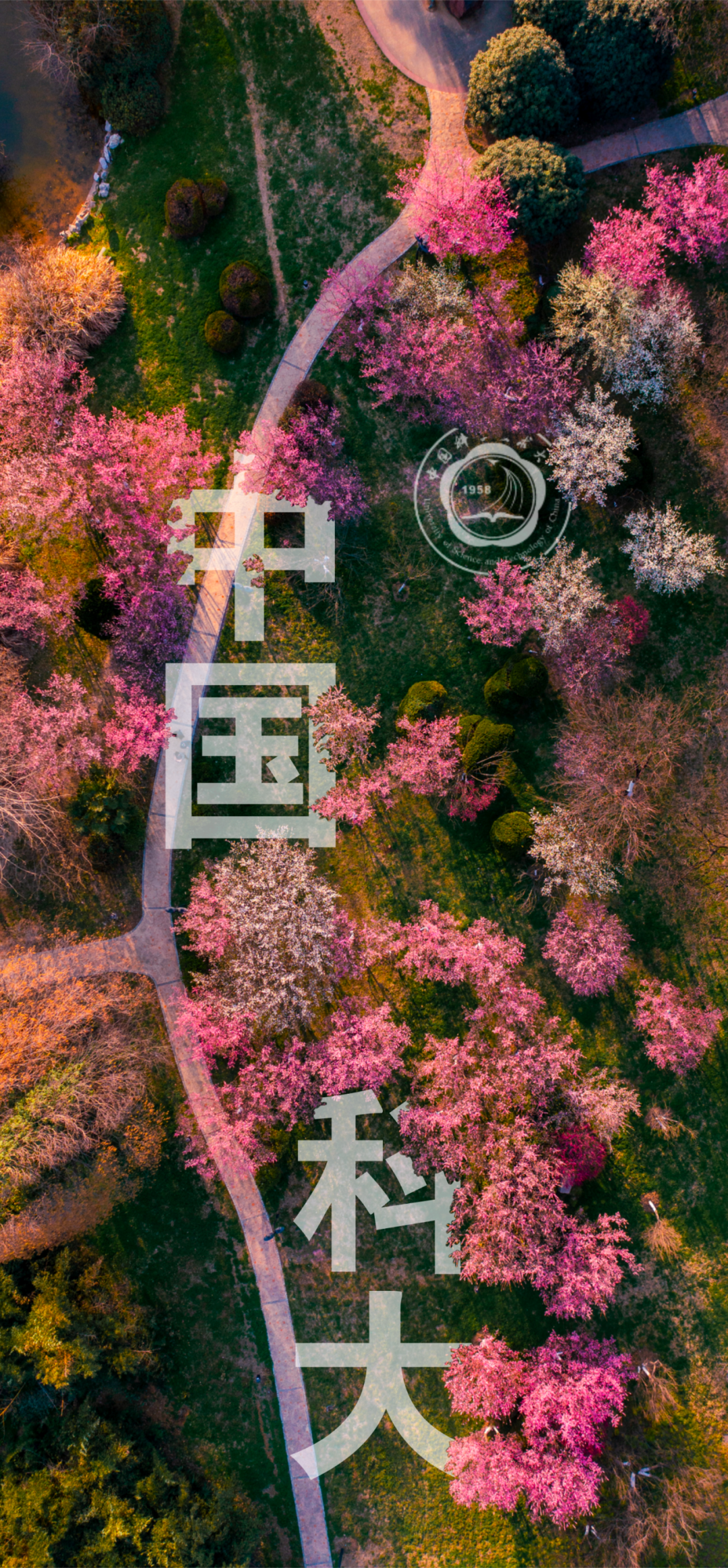 高考临近,这份祝福送给全力以赴的你!(第三期) 第5张 高考临近,这份祝福送给全力以赴的你!(第三期) 第5张
