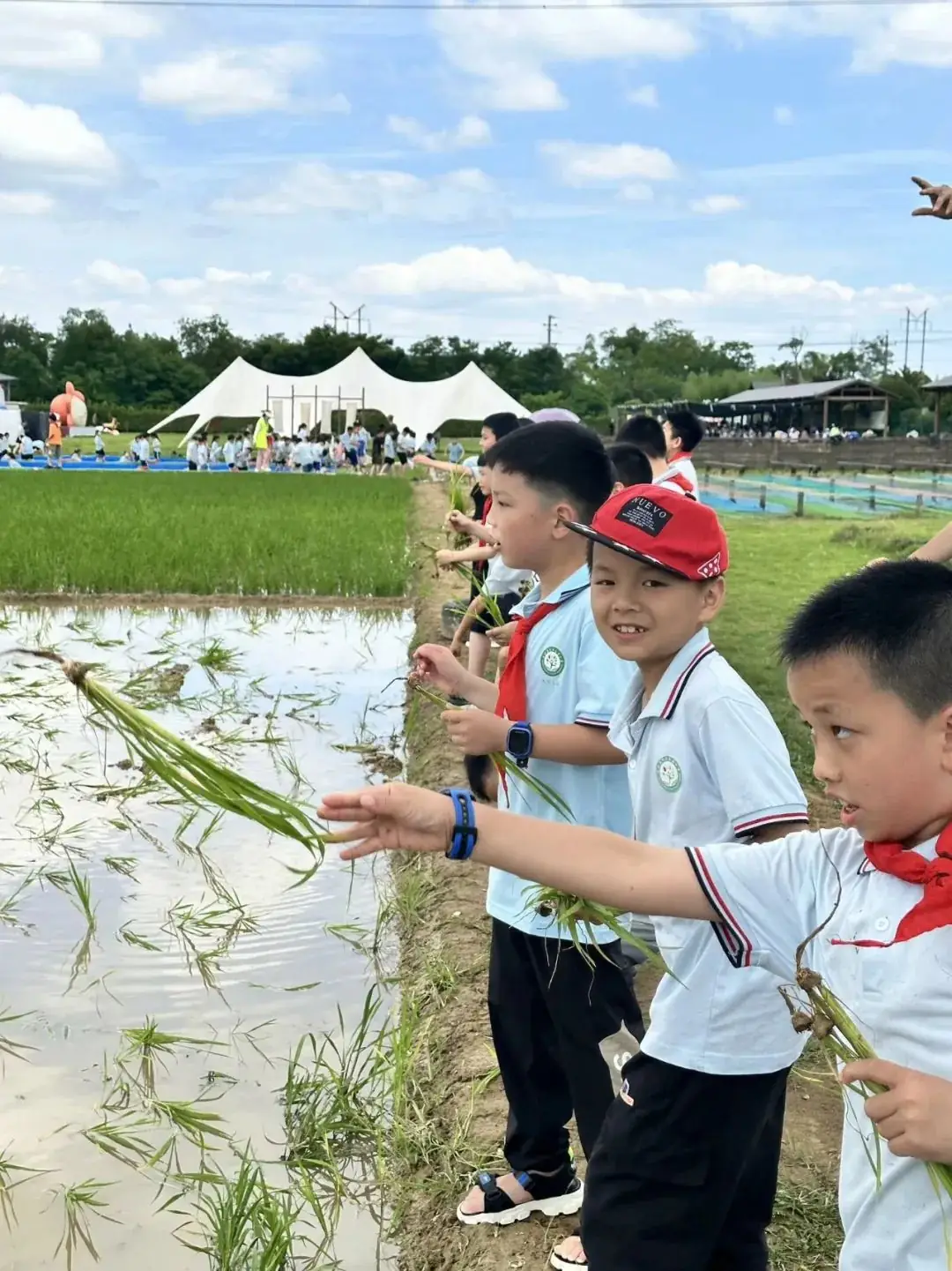 花园小学“国歌嘹亮 耕读童年”——庆六一•红领巾爱祖国研学实践活动 第54张 花园小学“国歌嘹亮 耕读童年”——庆六一•红领巾爱祖国研学实践活动 第54张