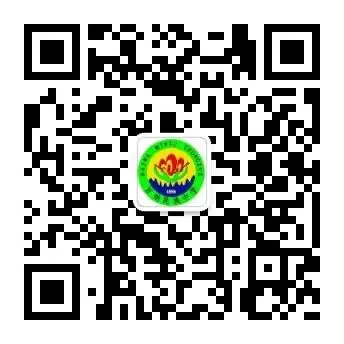 我校数学教研组开展“数学学科备考中考”讲座暨研讨会 第3张