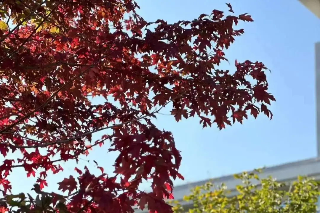 《为高考学子加油!》 第3张 《为高考学子加油!》 第3张