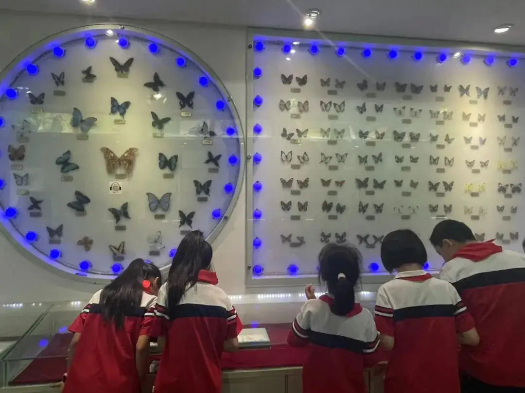 环境日科普之旅:黄冈市考棚小学学生走进生物科普馆 第27张 环境日科普之旅:黄冈市考棚小学学生走进生物科普馆 第27张