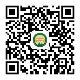 中高考期间,考生及陪同人员可免费搭乘地铁! 第9张 中高考期间,考生及陪同人员可免费搭乘地铁! 第9张