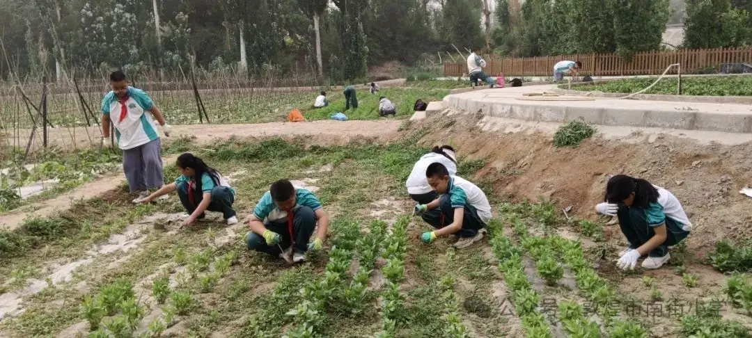 “时节·敦煌 传承有我”敦煌市南街小学开展二十四节气——芒种主题活动 第18张 “时节·敦煌 传承有我”敦煌市南街小学开展二十四节气——芒种主题活动 第18张