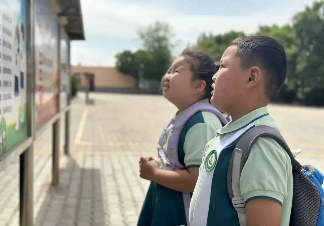 学前教育宣传月|“我拍了拍小学” 第14张 学前教育宣传月|“我拍了拍小学” 第14张